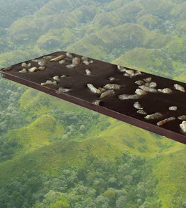 ANTIDOTE chocolate: ALETHEIA: GINGER + Grains of Paradise 77%