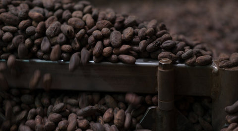 chocolate sustainability farming organic quality